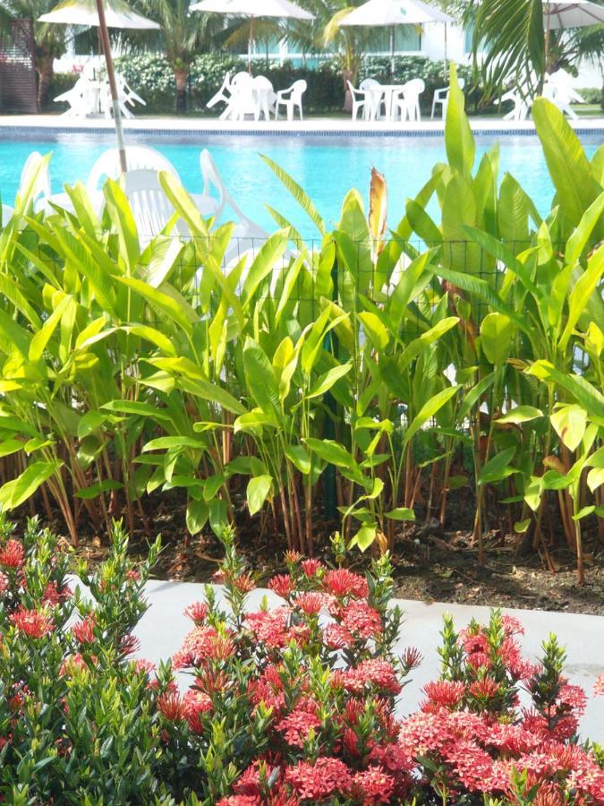Palm Village Acqua - Apartamento Premium - Em Frente A Piscina - Pôrto das Galinhas Zewnętrze zdjęcie
